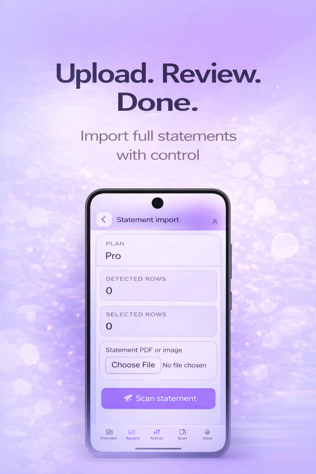 Plentyful statement import slide